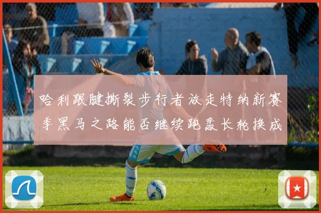 哈利跟腱撕裂步行者放走特纳新赛季黑马之路能否继续跑轰长轮换成关键