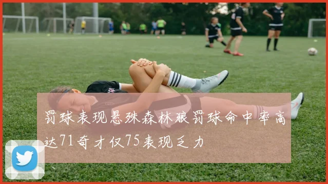 罚球表现悬殊森林狼罚球命中率高达71奇才仅75表现乏力