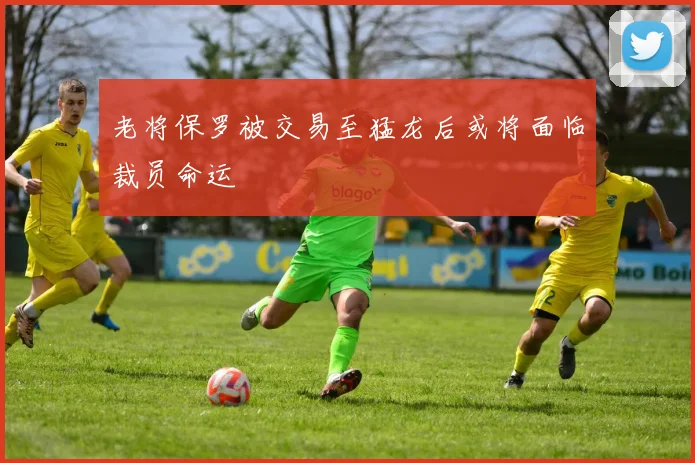 老将保罗被交易至猛龙后或将面临裁员命运