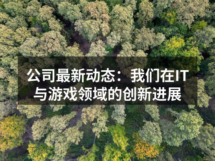 公司最新动态：我们在IT与游戏领域的创新