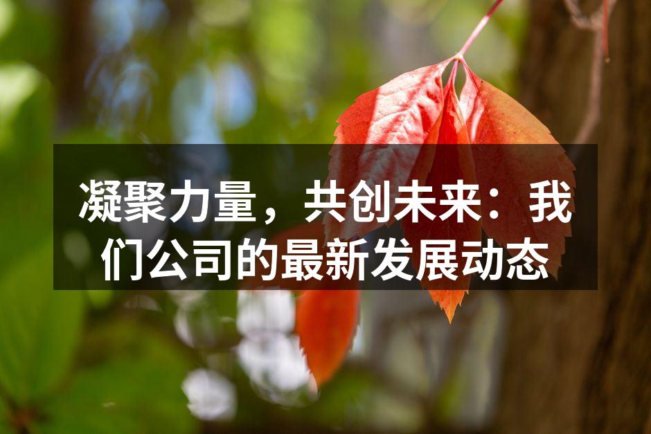 团队建设活动现场