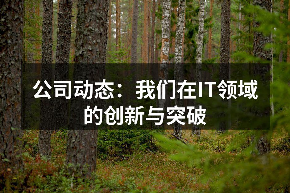 公司团队协作会议